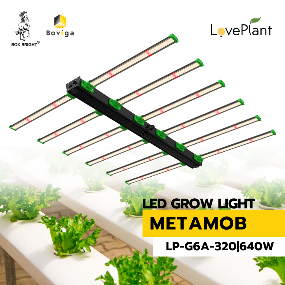 โคมไฟปลูกต้นไม้ รุ่น Metamob แบรนด์ LOVE PLANT ขนาด 320 W